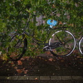 DSCN1827
